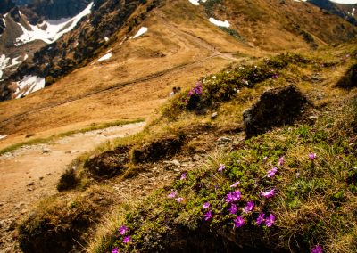 góry natura widok tatry niebo chmury