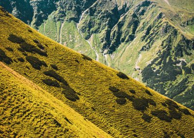 góry natura widok tatry niebo wiosna trawa